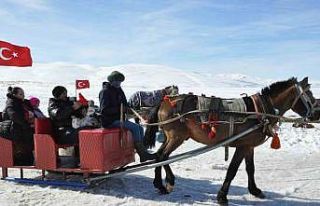 Kars Çıldır Gölü’nde dörtnala atlı kızak...