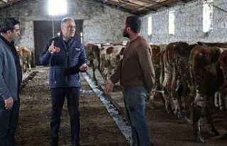 Kars Tarım ve Orman Müdürlüğü sahada: Bayraktar...