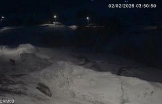 Kars’ta kurtlar köylerde cirit atıyor