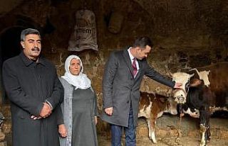 Kaymakam Kaya’dan üretici anneye umut olan destek