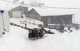 Keçilerin inadı yarım metreyi bulan kara yenilmedi