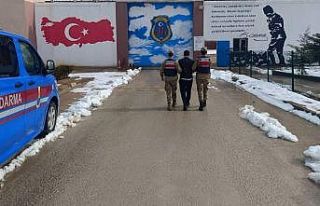 Kesinleşmiş 12’şer yıl cezayla aranan 2 şahıs...