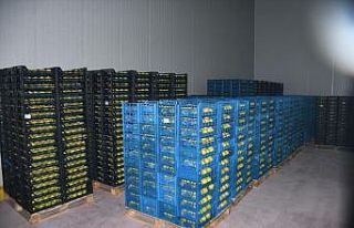 Kestel’e 400 milyon liralık dev meyve tesisi kuruluyor