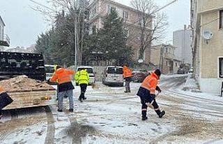 Kırklareli’nde solüsyonla ilaçlama ve tuzlama...