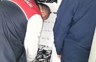 Kırklareli’nde su ürünleri denetiminde 110 koli...