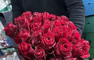 Kırmızı gülü yağış vurdu: Kenya ve Uganda...