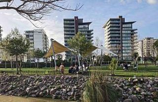 Kış ortasında bahar coşkusu