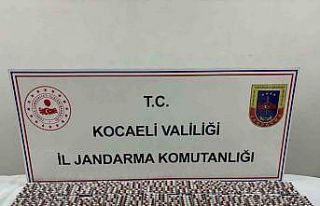 Kocaeli’de 3 kilo bonzai ve 5 bin hap ele geçirildi