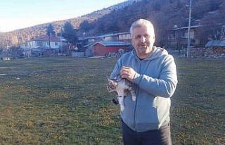 Konya’da aç kalan kediler için 30 kilometre yol...