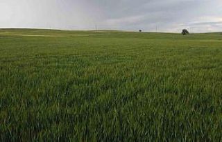 Konya’da yüksek kesimler yağışa doydu