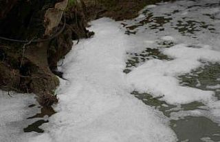 Köpüren dereden ağır kokular yükseliyor