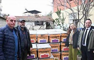 Kovanları sele kapılan Salihlili arıcıya, büyükşehirden...