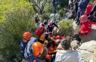 Koyunlarını otlatan yaşlı kadın düştüğü...