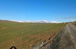 Kulp’ta yağışlar çiftçinin umudu arttı