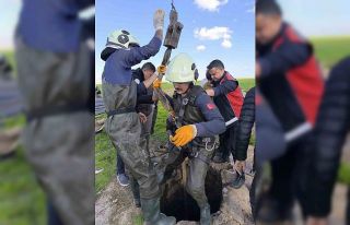 Kuyuya düşen inek itfaiye ekiplerince kurtarıldı