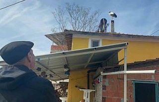 Leylek köyünde büyük sevinç: Eşi geldi, herkes...