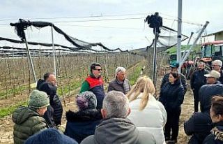 Lüleburgaz’da üreticilere uygulamalı budama eğitimi