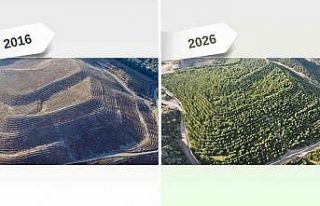 Maden sahaları rehabilitasyonla yeniden yeşeriyor