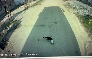 Malatya’da kafası konserve kutusuna sıkışan...