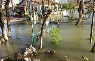 Manavgat Irmağı taştı, kenarındaki işletmeler...