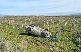 Manisa’da takla atan otomobil, üzüm bağına uçtu