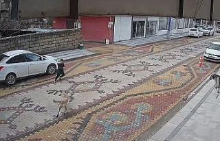 Mardin’de sokak köpeklerinin saldırdığı çocuğu...