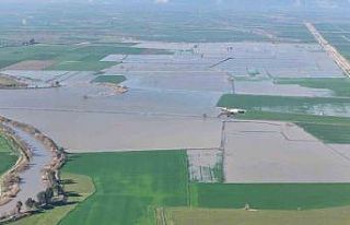 Menderes taştı, yüzlerce dönüm sular altında...