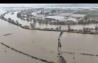 Meriç Nehri taştı, Subaşı’ndaki tarım arazileri...