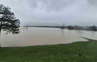 Meriç Nehri’nden taşan sular yaşam alanlarına...