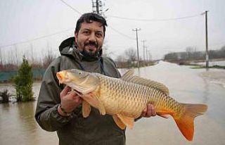 Meriç Nehri’nin taşmasıyla bazı vatandaşlar...