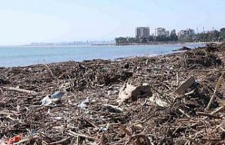 Mersin sahillerinde selin denize taşıdığı balçıklar...