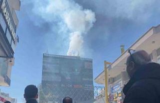 Mersin’de baca yangını korkuttu