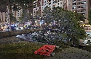 Meteoroloji’den ’kuvvetli rüzgar’ ve ’fırtına’...