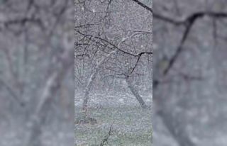 Mudurnu’da lapa lapa kar yağışı etkili oldu