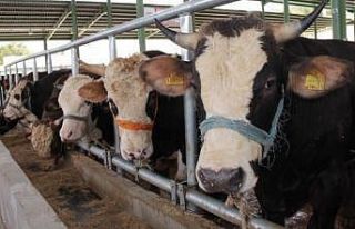 Muğla’da 11 mahalle karantinaya alındı