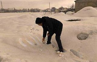 Muş’ta bembeyaz kar bir gecede kahverengiye dönüştü