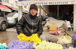Nergisler Menteşe pazarına renk katıyor