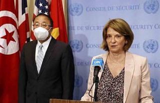 Norveç’in önde gelen diplomatı Mona Juul, Epstein...