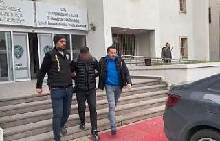 Önce doktoru, sonra da birbirlerini dolandırdılar