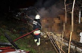 Ordu’da ahır yangını: 27 büyükbaş hayvan telef...