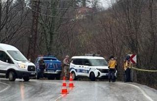 Ordu’da bir kişi ağaçta asılı halde ölü bulundu