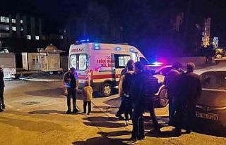 Ordu’da trafik kazası: 2 yaralı