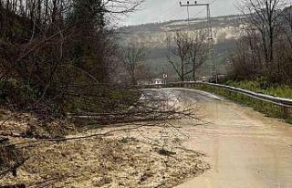 Ordu’da Ünye-Kumru bağlantı yolunda heyelan
