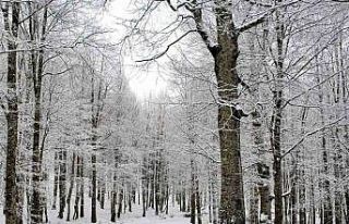 Ordu’nun 15 ilçesinde eğitime kar engeli