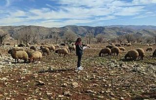 Ormaniçi’nde mera seferberliği: Ekipler sahada,...