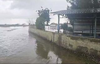 Osmaniye’de afet konutlarına su dolmasının nedeni...