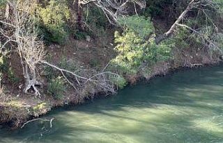 Osmaniye’de Aslantaş Barajı’nda yıllar sonra...