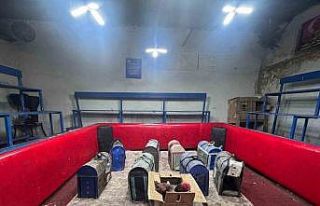 Polis, temizlik işçisi kılığına girerek horoz...