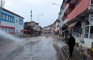 Posof’ta bahar temizliği