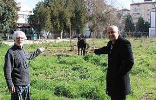 Sahipleri ölüme terk etti, resmi kurumlar topu birbirine...